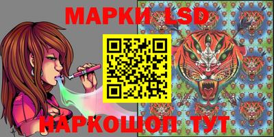 дмт Нальчик