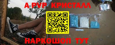 дмт Нальчик