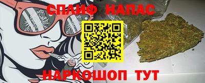 тгк Новокубанск