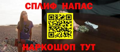 СК Новозыбков