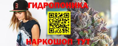 СК Новозыбков