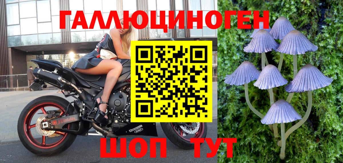 Галлюциногенные грибы ЛСД  дарнет шоп  Павлово  Вход с VPN 
